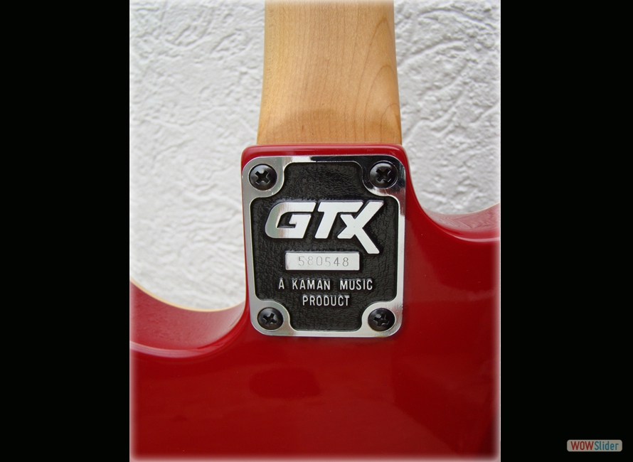 Guitar 1  Neckplate