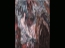 Detail: Flight In The Dark